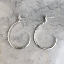 Load image into Gallery viewer, Silver Snake Hoop Earrings
