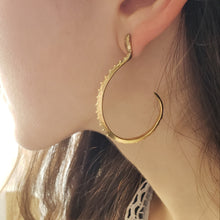 Load image into Gallery viewer, Silver Snake Hoop Earrings